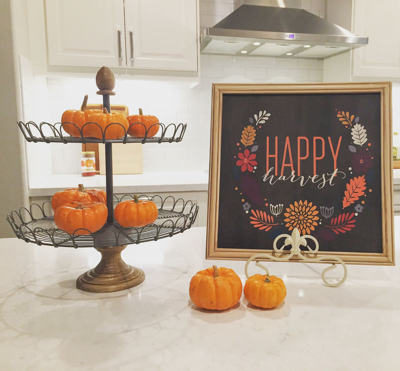 Modern Farmhouse Fall Kitchen - Fall Farmhouse Kitchen - Pumpkins on a tiered tray - fall kitchen decor -1111 Light Lane (1 of 1)